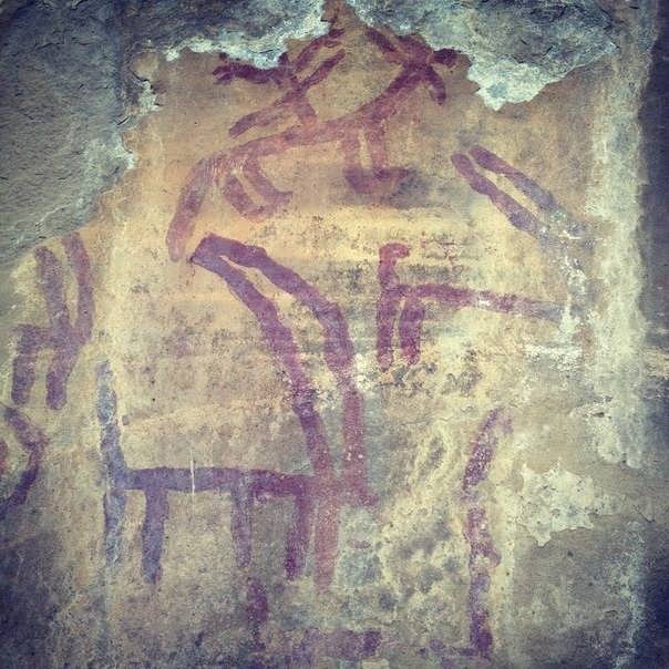 Drevniye naskal'nyye risunki v ushchel'ye Vitturzivalu