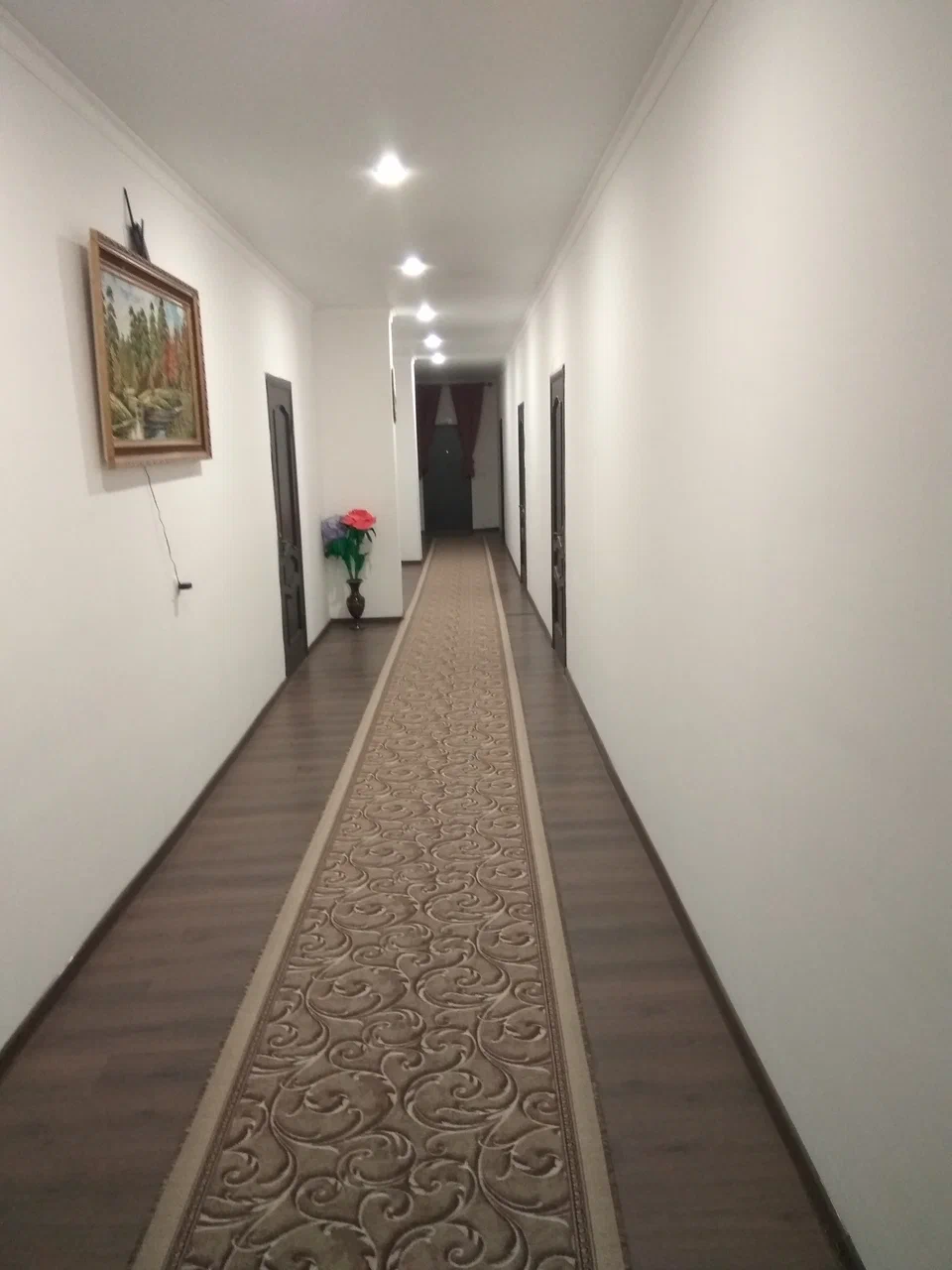 Койсу