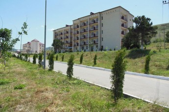 Talgi